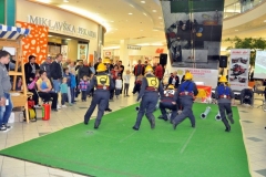 slika33