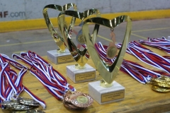slika22