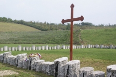 Kraljevo-2016-slike-581