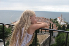 slika6