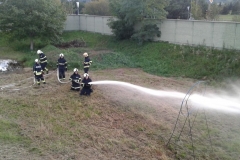 slika1