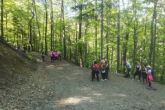 slika2