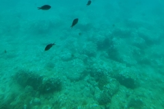 IMG_20230627_155401